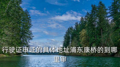 行駛證申證的具體地址浦東康橋的到哪里審