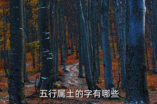 群字五行屬什么,五行屬水最旺的字