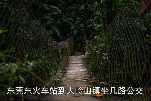 東莞東到大嶺山百貨坐幾路車，東莞東坑到大嶺山廣場坐幾路車