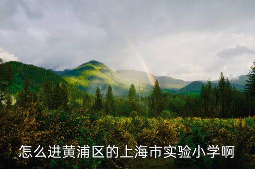 怎么進黃浦區的上海市實驗小學啊