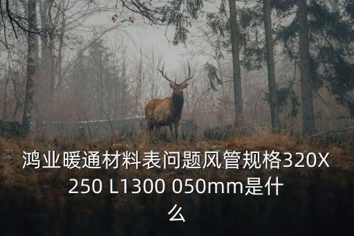 鴻業(yè)暖通材料表問題風(fēng)管規(guī)格320X250 L1300 050mm是什么