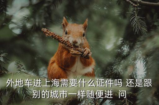 外地車進(jìn)上海需要什么證件嗎 還是跟別的城市一樣隨便進(jìn)  問