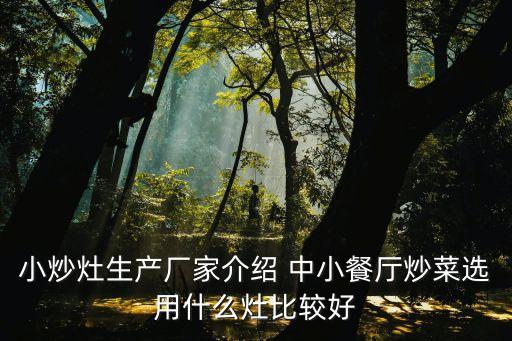 小炒灶生產廠家介紹 中小餐廳炒菜選用什么灶比較好