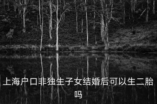 上海戶口非獨生子女結婚后可以生二胎嗎