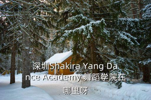 深圳Shakira Yang Dance Academy 舞蹈學院在哪里呀