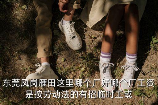 東莞雁田得利廠怎么樣，東莞鳳崗雁田這里哪個廠好哪個廠工資是按勞動法的有招臨時工或