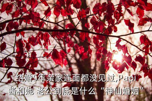 結婚5年親家連面都沒見過,Papi醬和她 老公到底是什么“神仙婚姻”