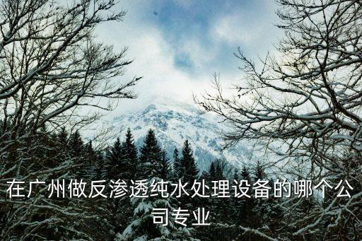 在廣州做反滲透純水處理設備的哪個公司專業