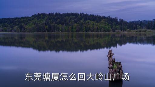 東莞塘廈怎么回大嶺山廣場