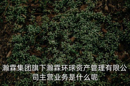 瀚霖集團(tuán)旗下瀚霖環(huán)球資產(chǎn)管理有限公司主營(yíng)業(yè)務(wù)是什么呢