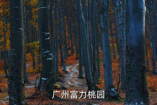 廣州富力桃園