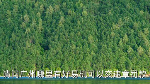請問廣州哪里有好易機可以交違章罰款