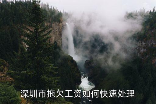 拖欠工資 深圳，深圳私企打工被欠工資怎么辦