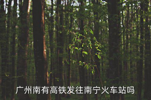 廣州南有高鐵發(fā)往南寧火車站嗎