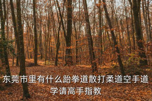 東莞市里有什么跆拳道散打柔道空手道學請高手指教