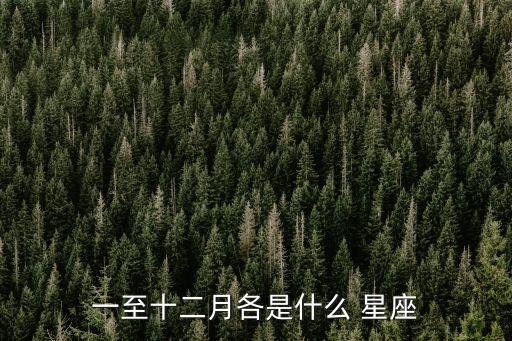 什么星座