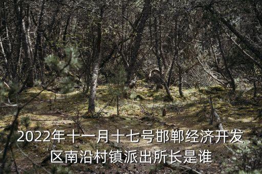 2022年十一月十七號邯鄲經濟開發區南沿村鎮派出所長是誰