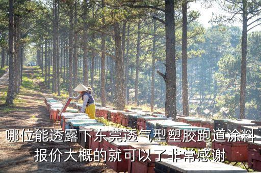 哪位能透露下東莞透氣型塑膠跑道涂料報(bào)價(jià)大概的就可以了非常感謝