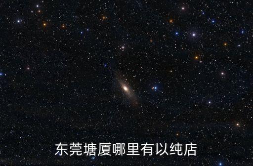 東莞塘廈哪里有以純店