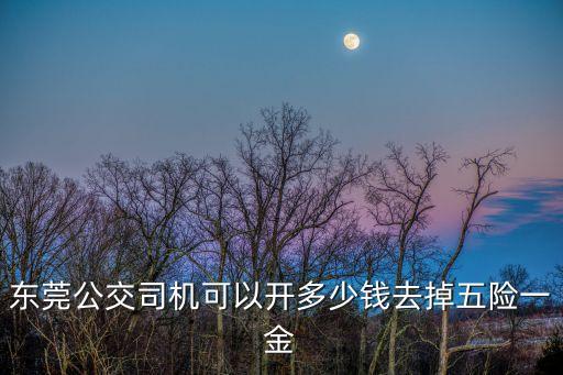 東莞公交司機可以開多少錢去掉五險一金