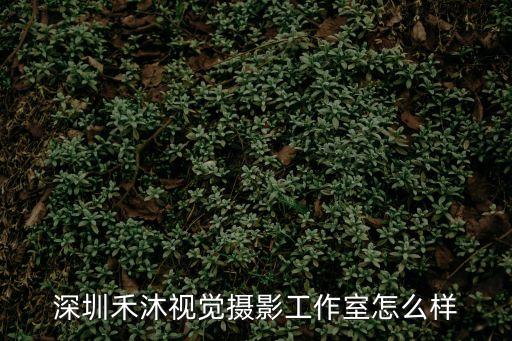 深圳禾沐視覺攝影工作室怎么樣