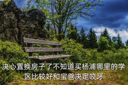 決心置換房子了不知道買楊浦哪里的學區(qū)比較好和寶爸決定咬牙