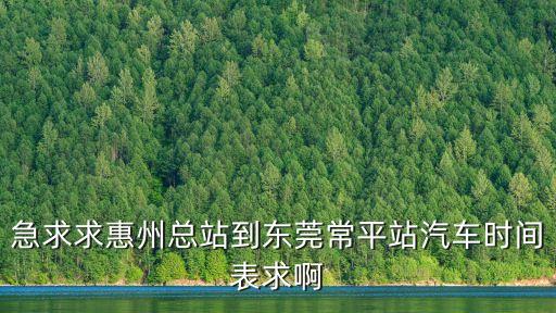 急求求惠州總站到東莞常平站汽車時(shí)間表求啊