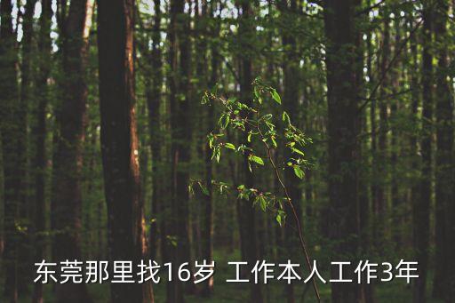 東莞那里找16歲 工作本人工作3年