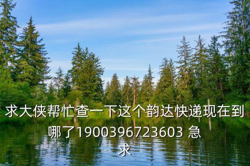 求大俠幫忙查一下這個韻達快遞現在到哪了1900396723603 急求