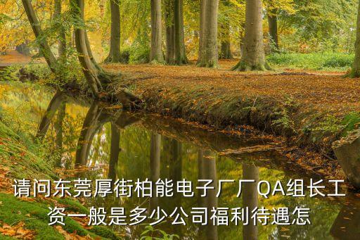 請問東莞厚街柏能電子廠廠QA組長工資一般是多少公司福利待遇怎