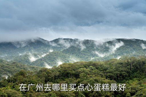廣州糕點在哪買，在廣州去哪里買點心蛋糕最好