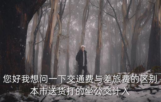 您好我想問一下交通費(fèi)與差旅費(fèi)的區(qū)別本市送貨打的坐公交計(jì)入