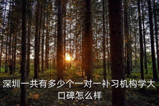 深圳教育機構數量，深圳培訓機構怎么這么多