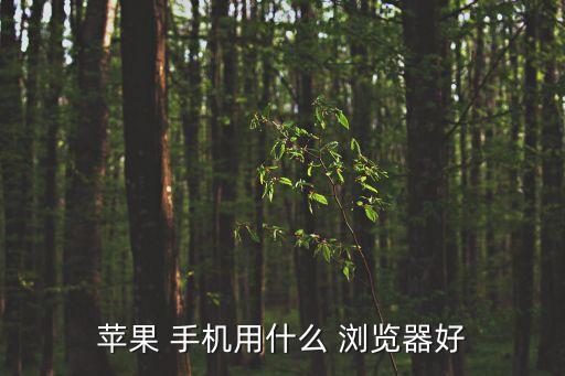 手機(jī)瀏覽器哪個(gè)好,手機(jī)qq瀏覽器用起來(lái)最快?
