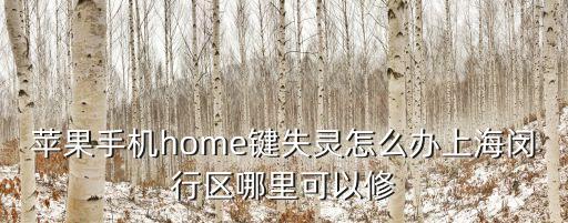 上海市閔行區(qū)紀(jì)委書記張培榮，上海閔行區(qū)最有名氣的老中醫(yī)是誰求告知