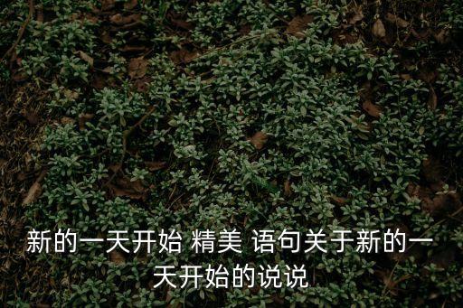 新的一天開始精美語句,幼兒園新的一天開始精美語句
