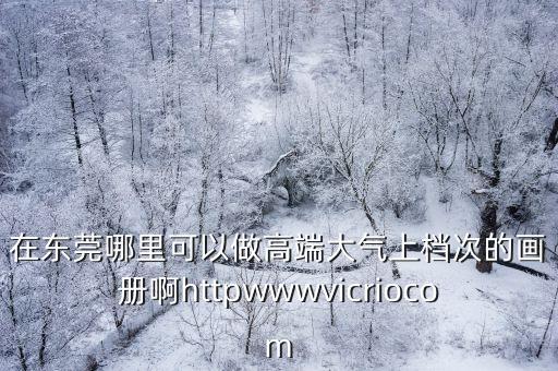 在東莞哪里可以做高端大氣上檔次的畫冊(cè)啊httpwwwvicriocom