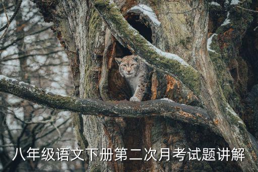 上海市初二下語文月考試卷，八年級語文下冊第二次月考試題講解