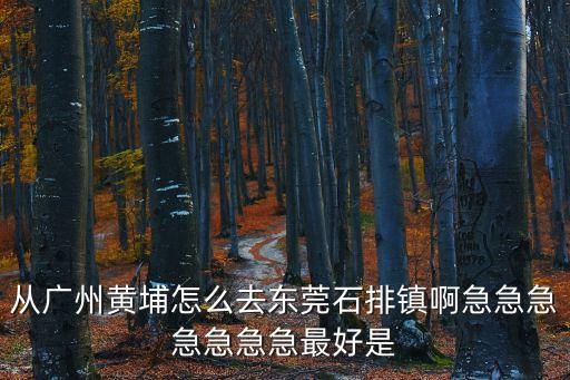 從廣州黃埔怎么去東莞石排鎮(zhèn)啊急急急急急急急最好是