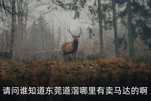請問誰知道東莞道滘哪里有賣馬達的啊