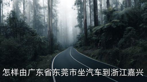 東莞汽車客運北站有去嘉興的車嗎，怎樣由廣東省東莞市坐汽車到浙江嘉興