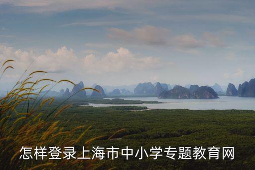 怎樣登錄上海市中小學專題教育網