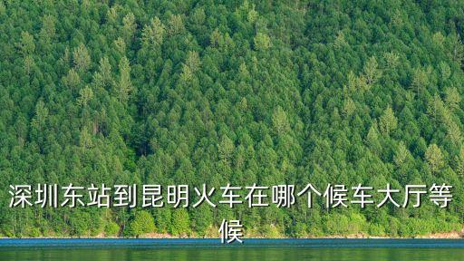 深圳東站到昆明火車在哪個候車大廳等候