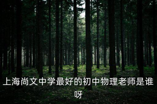 上海尚文中學最好的初中物理老師是誰呀