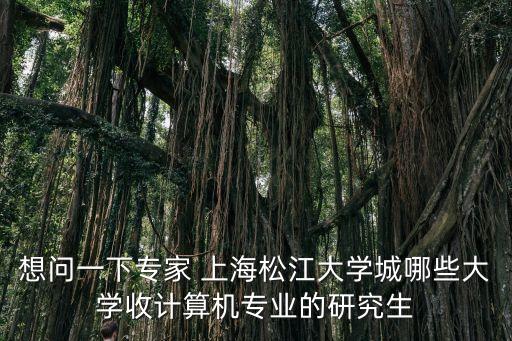想問一下專家 上海松江大學(xué)城哪些大學(xué)收計(jì)算機(jī)專業(yè)的研究生