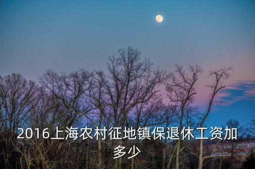 2016上海農村征地鎮保退休工資加多少