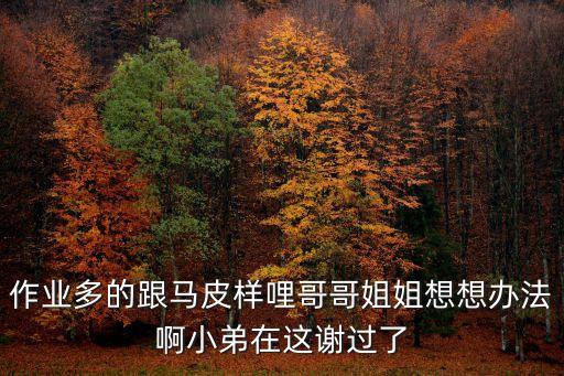 作業(yè)多的跟馬皮樣哩哥哥姐姐想想辦法啊小弟在這謝過了