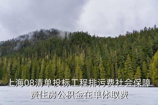 上海08清單投標工程排污費社會保障費住房公積金在單體取費
