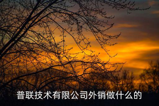 普聯技術有限公司外銷做什么的