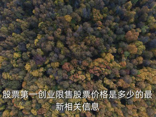 股票第一創(chuàng)業(yè)限售股票價(jià)格是多少的最新相關(guān)信息
